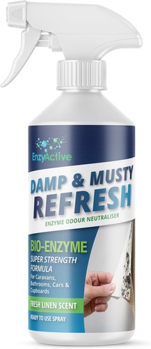 Damp musty refresh - damp,
